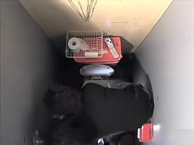 Wild Asian chick filmed in the club toilet when roughly masturbating