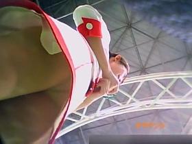 VOL.3 Cutie Trade Fair Companion Upside Down