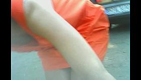 Wolter's Downblouse Bitch 347