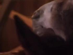 Farmer Girl fuck 2 guys