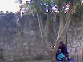 College tart enjoys riding hard on her friend's throbbing penis