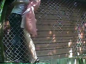 Caught fucking outdoor