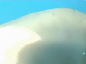 Great Spy Cam, Russian, Amateur Movie Full Version