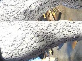 spy sexy teens cameltoe and leggigns romanian