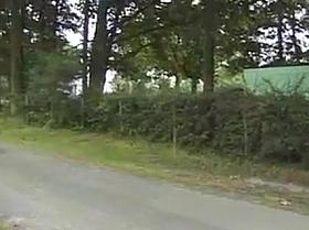 French Family Reunion