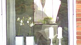 Window Voyeur