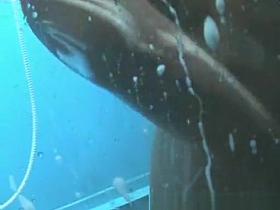 Greatest Russian, Changing Room, Spy Cam Scene Just For You