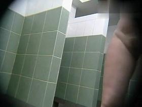 Hidden Camera Video. Dressing Room N 334