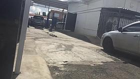 Big booty Latina Candid in Slow Motion