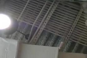 under coworker skirt 3(face)