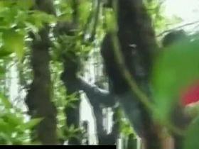 Teen couple spied fucking in public park