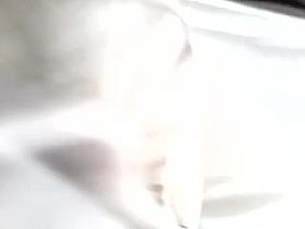 bajo la falda de una colegiada