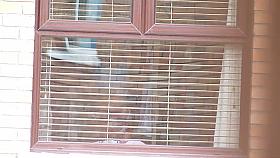 neighbour voyeured 3