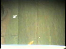 mature neighbor raising her arms