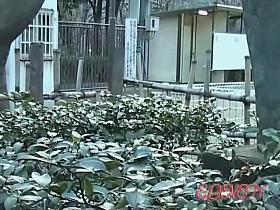 Adoring little Asian schoolgirl gets caught of her guard by some sharking fellow