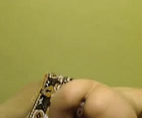 Dilettante Pair NJoys Threesome