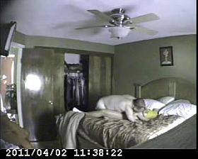 sucking those big nipples