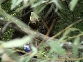 Outdoor Spy Voy05 13