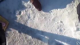 Brave Russian bimbo strips down to her underwear in snow