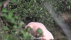 Girls Pissing voyeur video 24