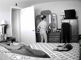 Fly on the Wall Part V