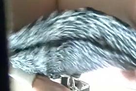 coworker green boyshorts(frontal)