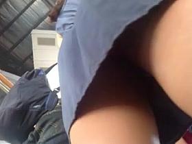 My Collection Vol. 16