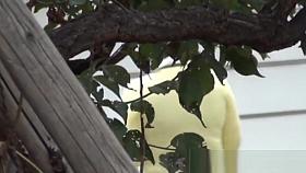 Asian cuties panties seen