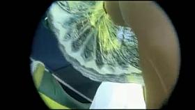 Ups Frontal Na Feirinha.