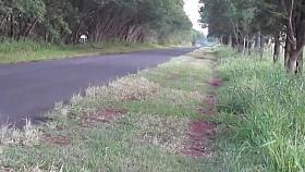 Public nudity - nude on the road