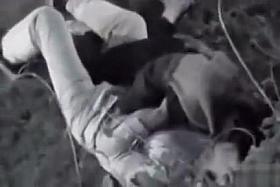 Blowjob in the city park from a girl with nice big tits