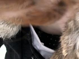 She never notices the down blouse cam peeking at her tits