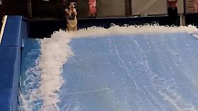 Sexy flowrider is demonstrating her downblouse in aqua park