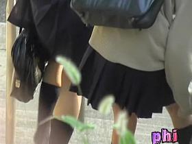 Not one, but two sharking skirts were taken from hot babes