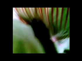 Encoxada 263: a cock between her pretty buttcheeks