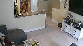 SERIES 1 Pregnat MILF Tits in Livingroom Hacked Cam