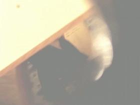 Girl changes on voyeur cam and can