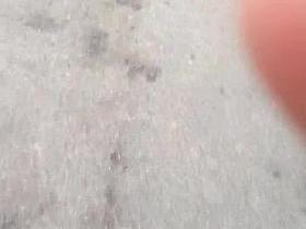 spy sexy hot ass sweatpants teens romanian