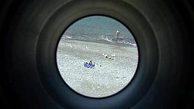 Sex on the Beach. Voyeur Video 95