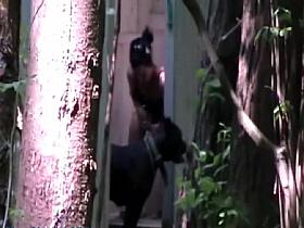 Candid girl in bikini hid among trees and got spied pissing