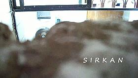 Babe exposes her ass an pussy on the toilet