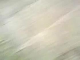 Graba el culote de su hermana mientra habla por telefono