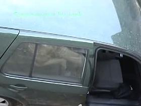 Teens having sex in a car filmed on voyeur cam