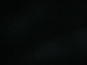 US Brunette Public Transport