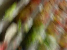 spy pregnant sexy ass in supermarket romanian