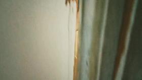 My Chubby Mexican Lets Me Record Her While She Takes A Shower