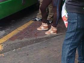 Panocha en el trasporte