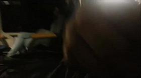 Mondschein Sonaten Zug Flash