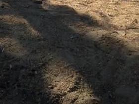 busty ukranian voyeur