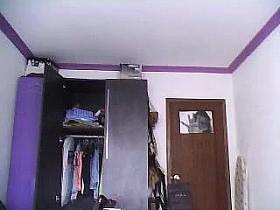 Black Beauty changes (NN)